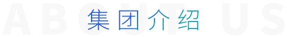 集團(tuán)介紹